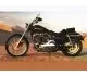 Harley-Davidson Dyna Low Rider 1996 8558 Thumb