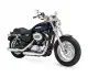 Harley-Davidson Sporster 1200 Custom 2014 23437 Thumb