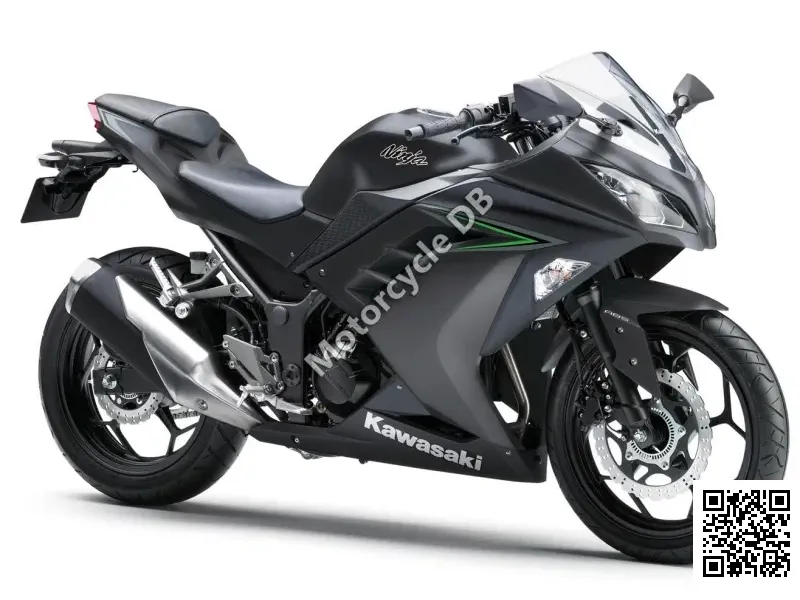 Kawasaki Ninja  300 2014 29021