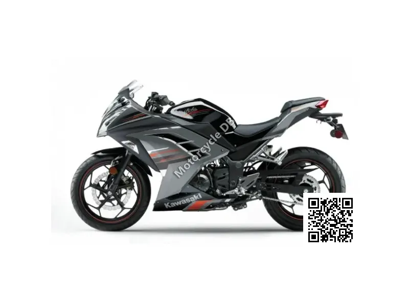 Kawasaki Ninja 300 Special Edition 2013 22876