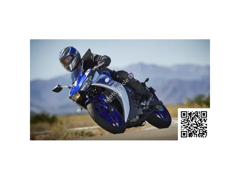 Yamaha YZF-R3 2015 23937