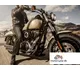 Harley-Davidson Dyna Fat Bob Dark Custom 2015 51818 Thumb
