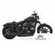 Harley-Davidson Sportster Iron 883 2017 50166 Thumb
